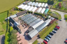 Pillaton Garden Centre