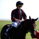 Maltese Cross faces a Derby rematch in the Great Voltigeur