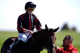 Maltese Cross faces a Derby rematch in the Great Voltigeur
