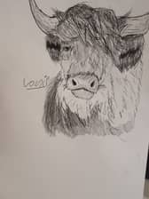 Sketches made by Louie Dewfield