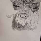 Sketches made by Louie Dewfield