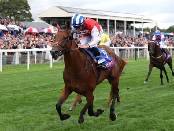 Blue Courvoisier leads the way at York