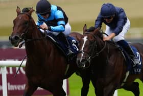 Giant Sequoia (left) winning the Futurity Stakes