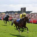 Infraad winning at York