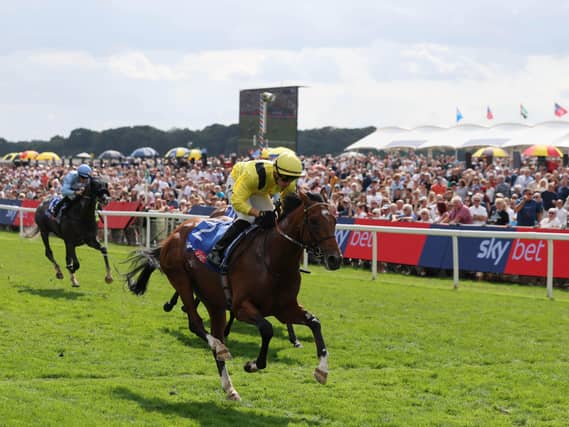 Infraad winning at York