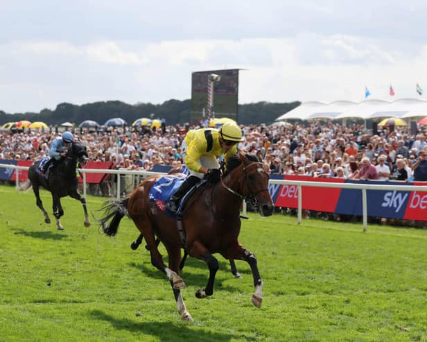 Infraad winning at York