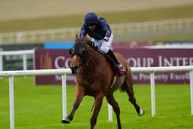 Wayne Lordan and Queenstown win the St Leger Trial Stakes at the Curragh