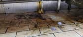 Food inspectors found a poor standard of food hygiene at Ken's Takeaway in Pensnett