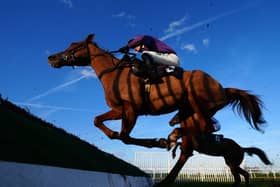 Beorma and Tristan Durrell in action at Southwell in March