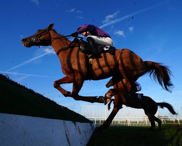 Beorma and Tristan Durrell in action at Southwell in March