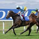 Rumstar winning at Sandown