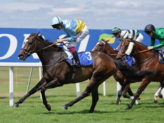 Rumstar winning at Sandown