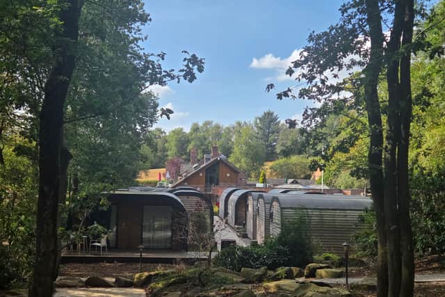 View of the woodland pods against a backdrop of trees