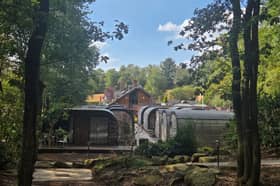 View of the woodland pods against a backdrop of trees