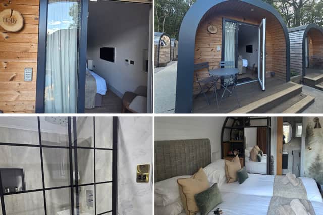 Inside the woodland pod
