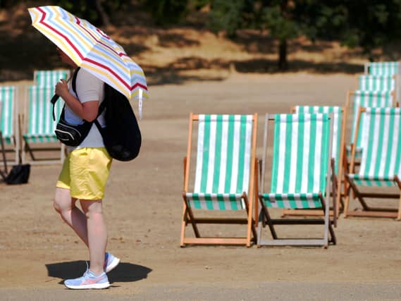 A visitor to Hyde Park in London shields themself from the sun on August 14 2026