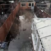 The back garden was submerged, leaving water to seep into the conservatory and the garage. Photo: Maimuna