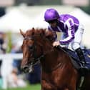 Great Barrier Reef ridden by Wayne Lordan at Ascot