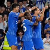 Brighton celebrate