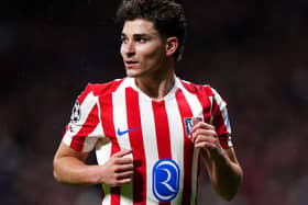 Julian Alvarez in action for Atletico Madrid
