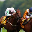 Shagraan (right) in action at Haydock