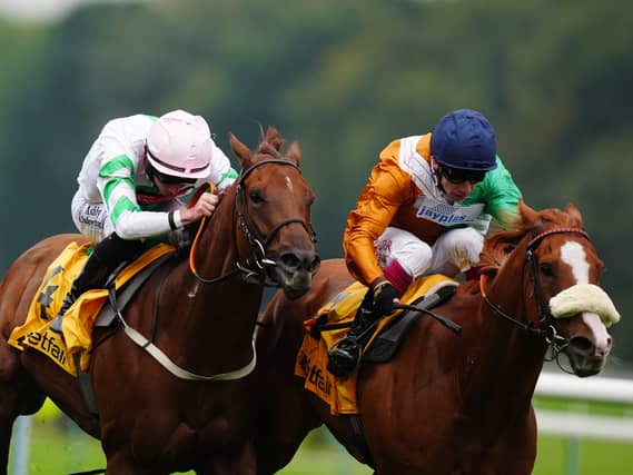 Shagraan (right) in action at Haydock