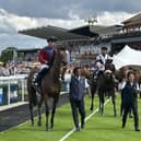 Galyx after winning at Beverley