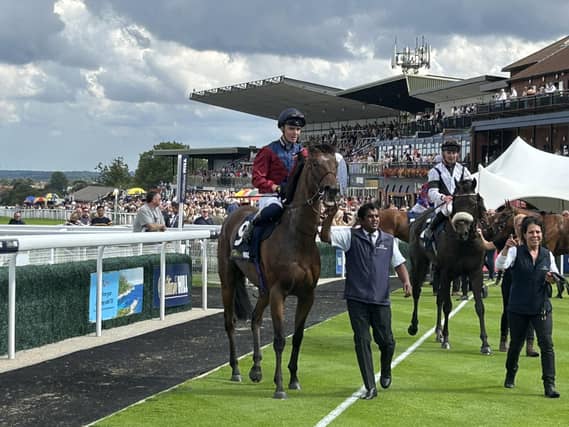Galyx after winning at Beverley