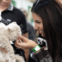 The Cat Show Live will return to Birmingham's NEX next month