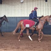 Benvenuto Cellini is heading for France this weekend
