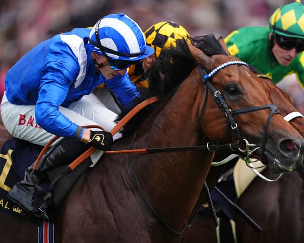 Almeraq won at Royal Ascot