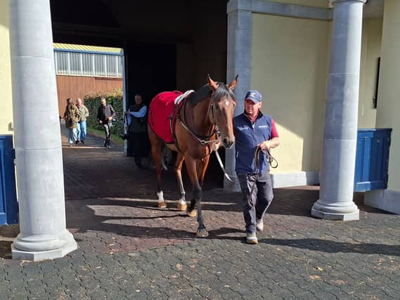 Constitution River at Ballydoyle on Monday