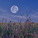 This month's full moon is known as the harvest moon.