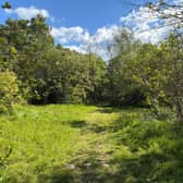 Reedswood Park
