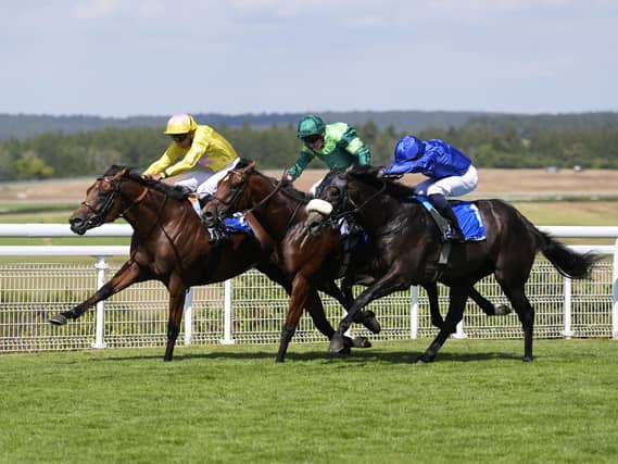 Dr Rascal (left) will rematch Haffner (centre) at the Curragh