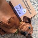 I’m a pet owner and my dog Ellie loves the sofa, so this is one thing I don’t want in my home 