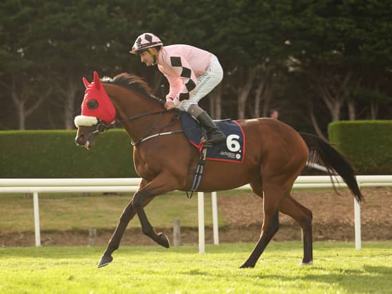 Hotazhell at Leopardstown