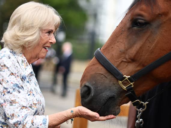 Queen Camilla with a horse