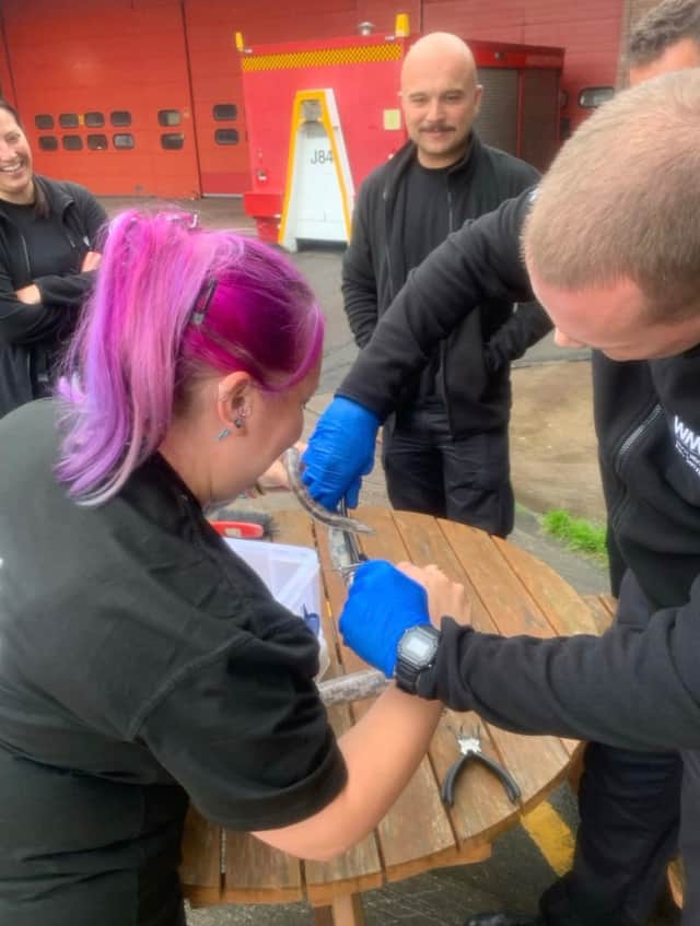 Members of Red Watch came to the reptile's rescue and used specialist ring-cutting equipment to carefully free it