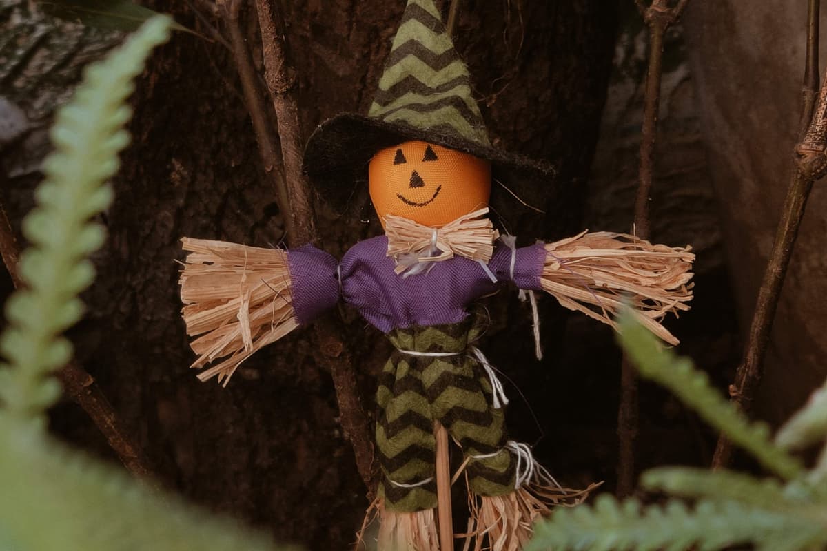 Much-loved scarecrow trail returns to idyllic West Midlands village this ...