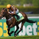 Dancing Gemini at Sandown