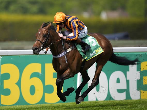 Dancing Gemini at Sandown