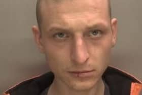 Oskar has been reported as missing. Photo: Dudley Police