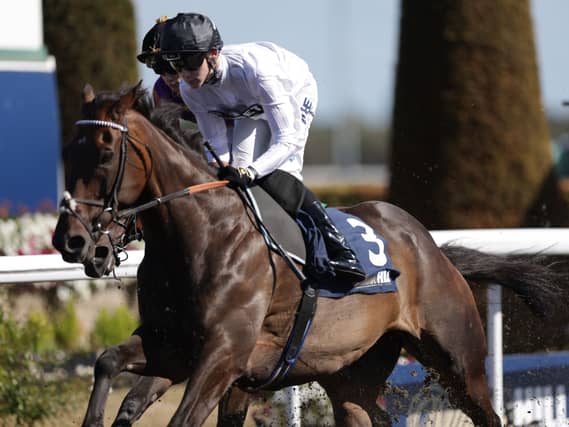 Kempton Park – Saturday September 5th