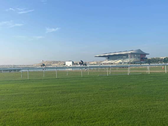 A general view of the racecourse in Bahrain