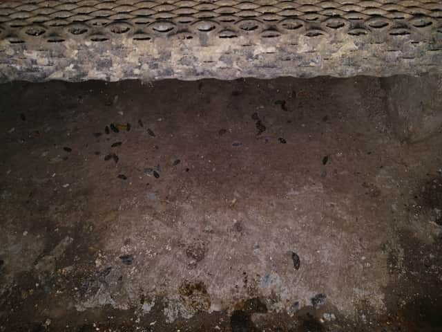 Rat droppings pictured at Citah Afro Caribbean Market