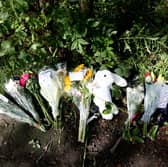Tributes left in woodland at the Wyrley and Essington nature reserve Staffordshire.  