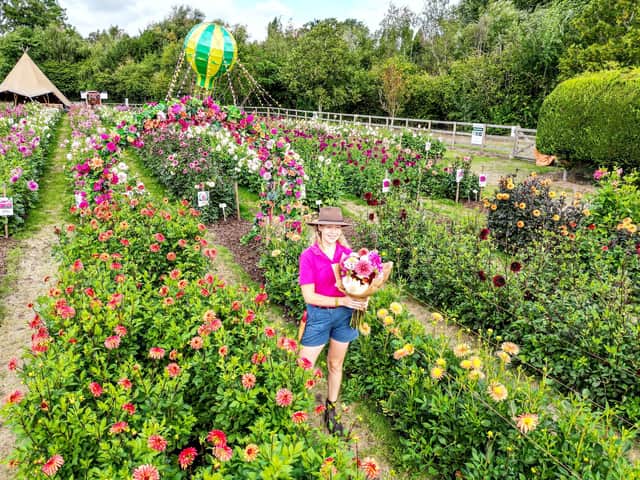 Sophie Johnson amongst the stunning Flora Fields at Webbs in Wychbold which is open until October with more than 5,000 dahlias ready to pick. Photo: Emma Trimble/SWNS