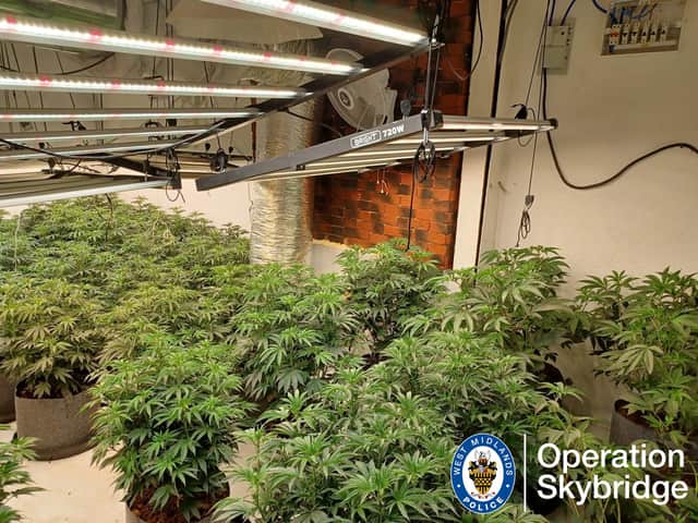 Police shut down cannabis farm in Wednesbury after recovering 70 plants.