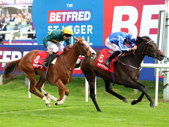 Consent (left) went close at Doncaster last year